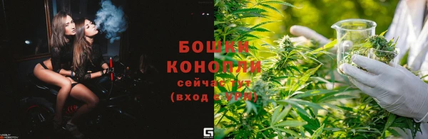 ГАЛЛЮЦИНОГЕННЫЕ ГРИБЫ Балабаново