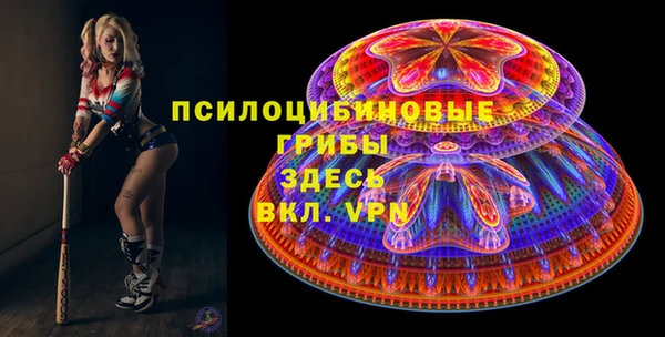 ГАЛЛЮЦИНОГЕННЫЕ ГРИБЫ Балабаново