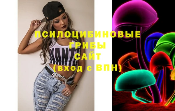ГАЛЛЮЦИНОГЕННЫЕ ГРИБЫ Балабаново
