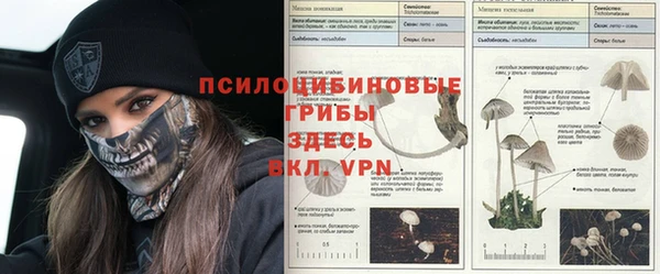марки nbome Баксан