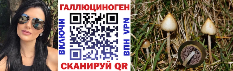 Псилоцибиновые грибы мицелий  Верхняя Салда 